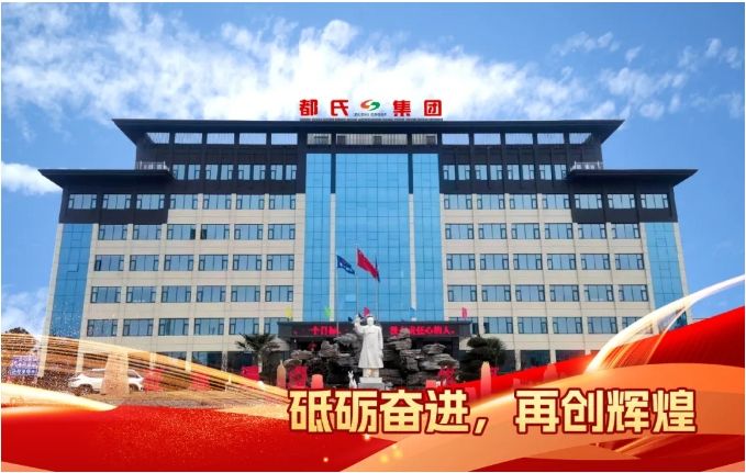 开好局 谱新篇——都氏集团联盛电力二期项目顺利投产